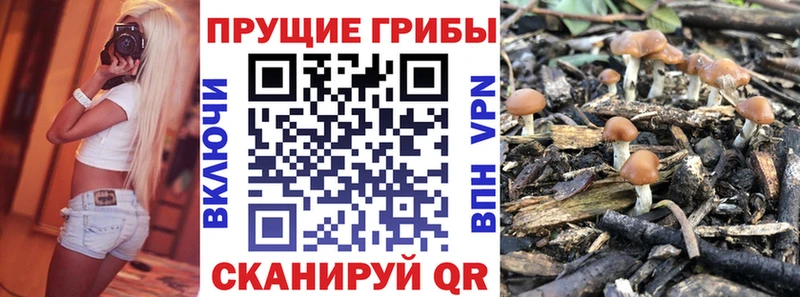 Псилоцибиновые грибы прущие грибы Купить закладки Нахабино
